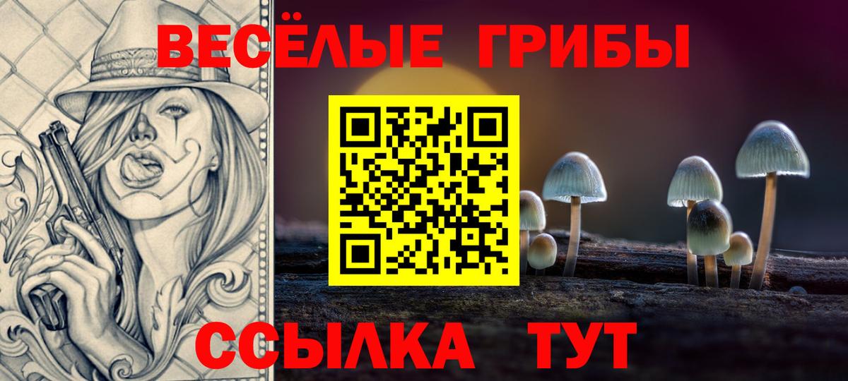 Алексеевка  Псилоцибиновые грибы Psilocybe  Вход с VPN  Галлюциногенные грибы Cubensis 